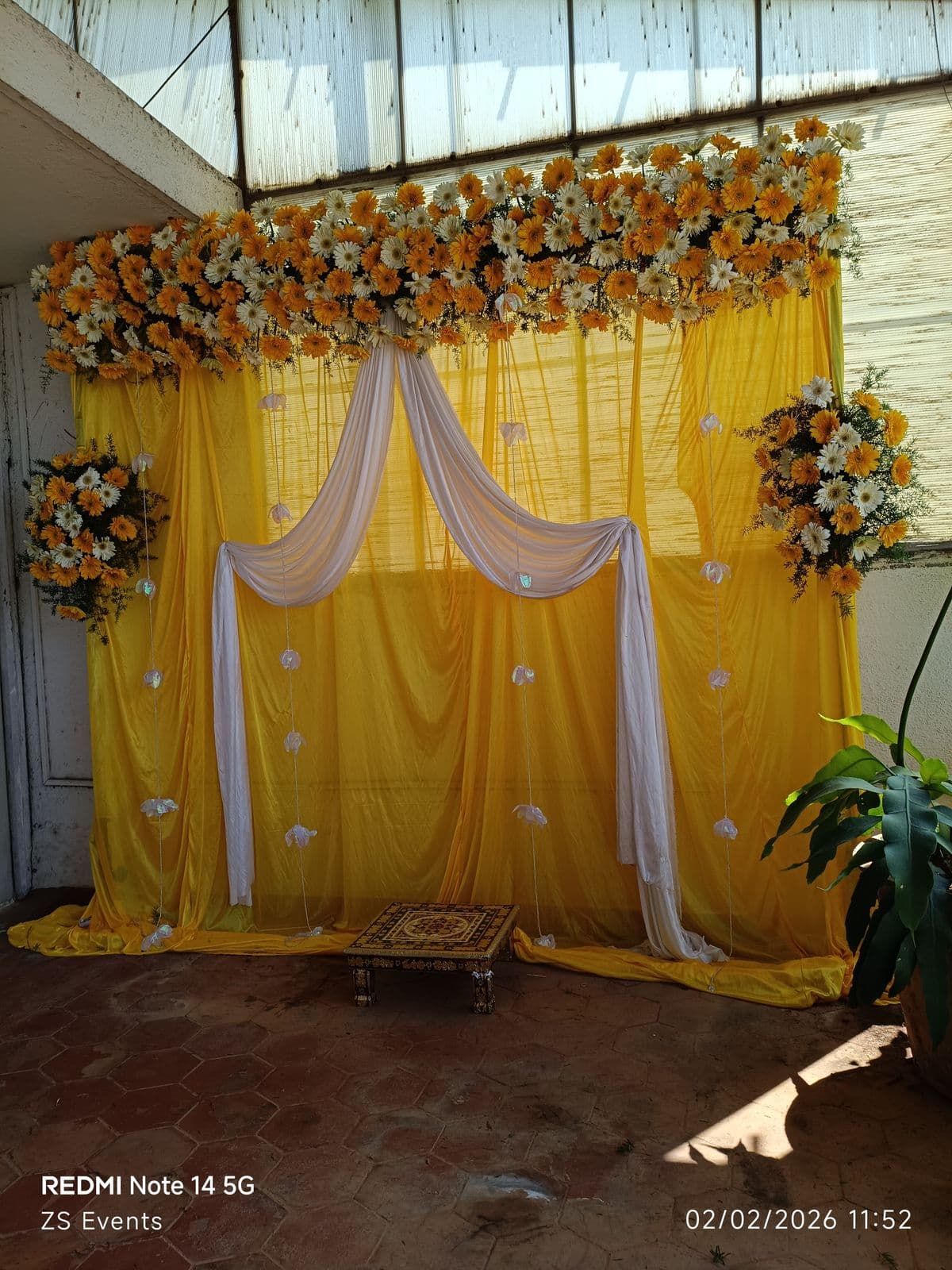 Yellow drape haldi backdrop with sunflower and marigold top